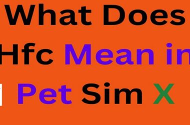 what does hfc mean in pet sim x